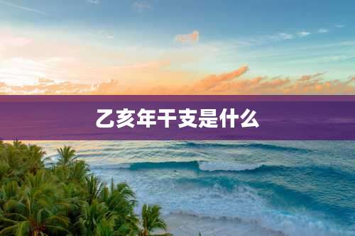 乙亥年干支是什么