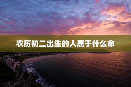 农历初二出生的人属于什么命