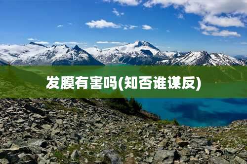 发膜有害吗(知否谁谋反)