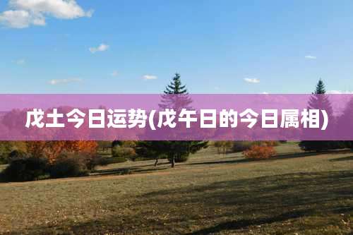 戊土今日运势(戊午日的今日属相)