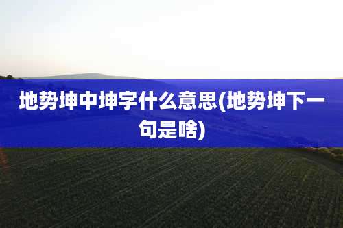 地势坤中坤字什么意思(地势坤下一句是啥)