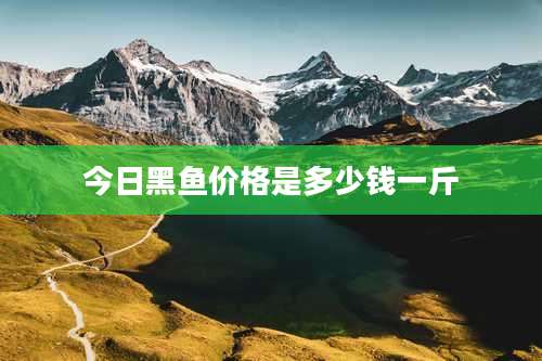 今日黑鱼价格是多少钱一斤