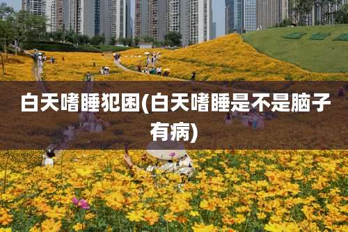 白天嗜睡犯困(白天嗜睡是不是脑子有病)