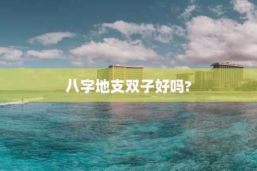 八字地支双子好吗?