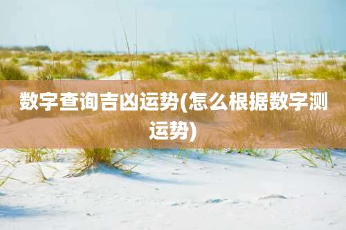 数字查询吉凶运势(怎么根据数字测运势)