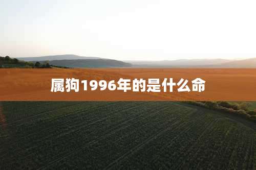 属狗1996年的是什么命