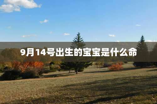 9月14号出生的宝宝是什么命