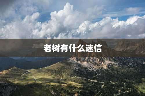 老树有什么迷信