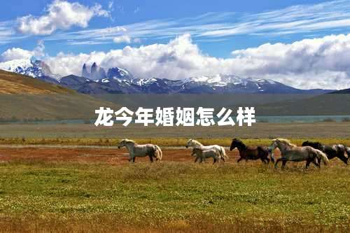 龙今年婚姻怎么样