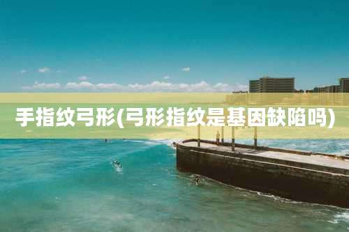 手指纹弓形(弓形指纹是基因缺陷吗)