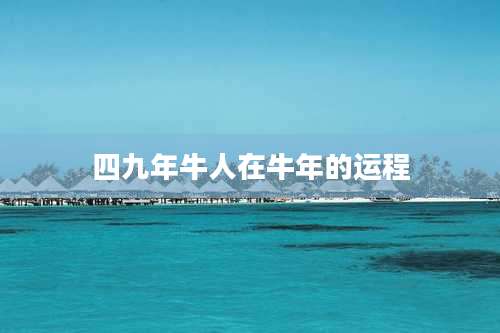 四九年牛人在牛年的运程