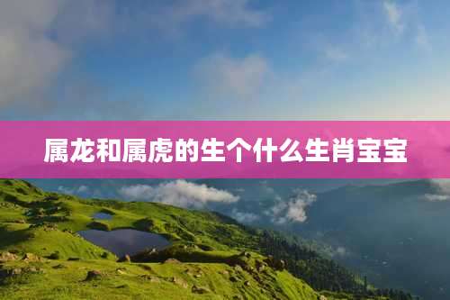 属龙和属虎的生个什么生肖宝宝