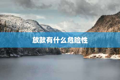 放款有什么危险性