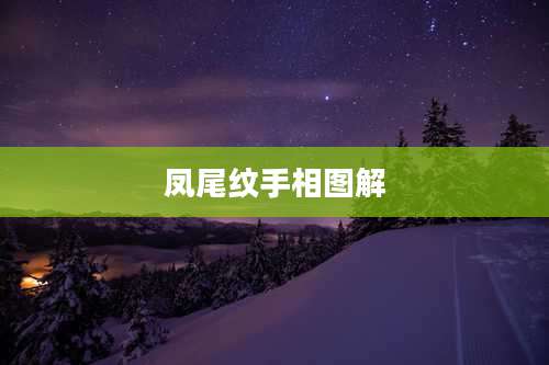 凤尾纹手相图解