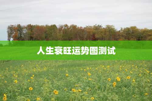 人生衰旺运势图测试