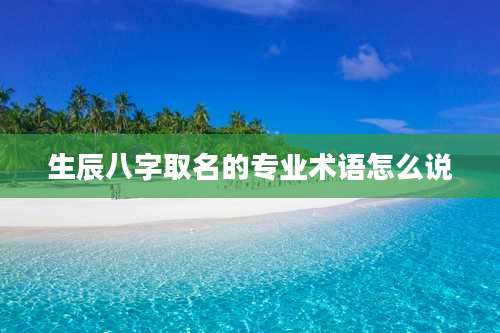 生辰八字取名的专业术语怎么说