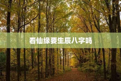 看仙缘要生辰八字吗