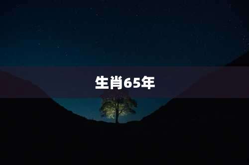 生肖65年