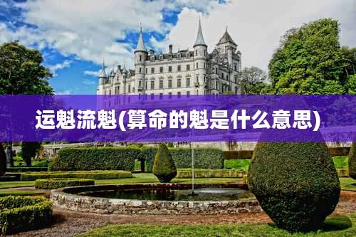 运魁流魁(算命的魁是什么意思)