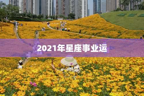 2021年星座事业运