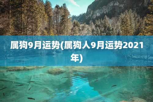 属狗9月运势(属狗人9月运势2021年)