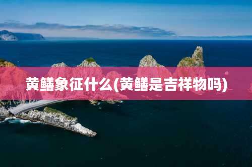 黄鳝象征什么(黄鳝是吉祥物吗)