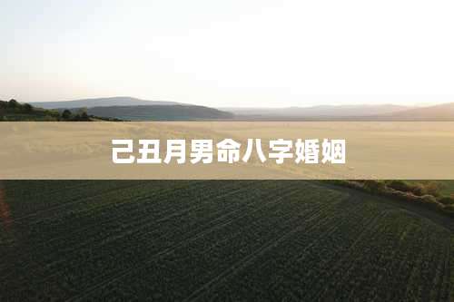 己丑月男命八字婚姻