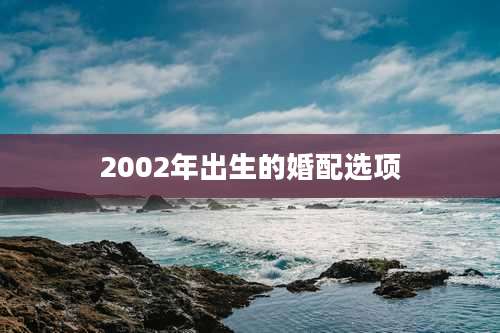 2002年出生的婚配选项