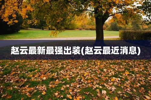 赵云最新最强出装(赵云最近消息)