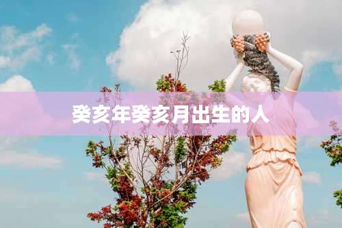 癸亥年癸亥月出生的人