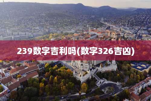 239数字吉利吗(数字326吉凶)
