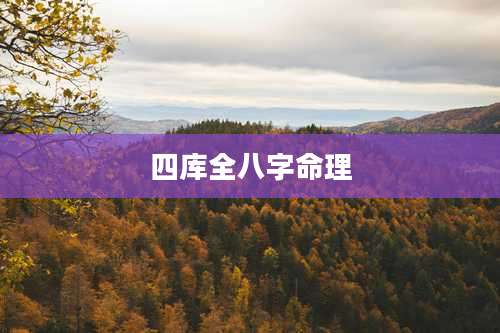 四库全八字命理