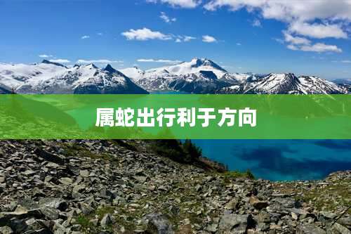 属蛇出行利于方向