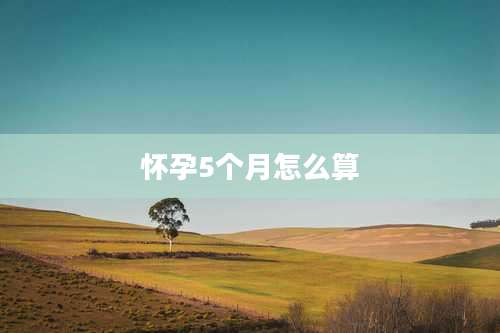 怀孕5个月怎么算