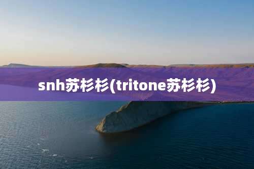 snh苏杉杉(tritone苏杉杉)