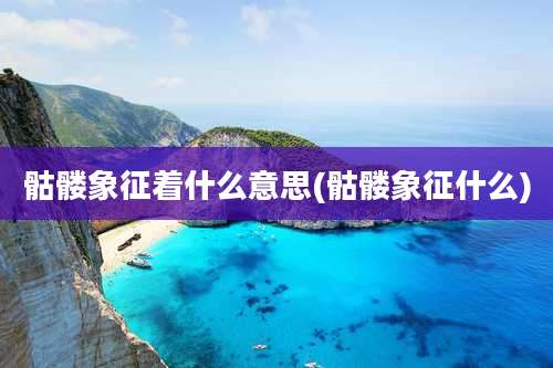 骷髅象征着什么意思(骷髅象征什么)