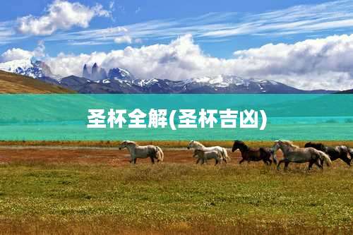 圣杯全解(圣杯吉凶)