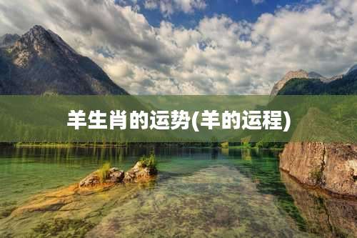 羊生肖的运势(羊的运程)