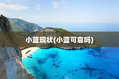 小蓝现状(小蓝可靠吗)