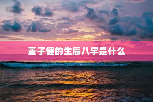 董子健的生辰八字是什么