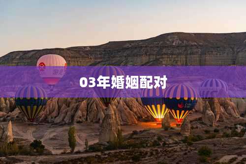 03年婚姻配对