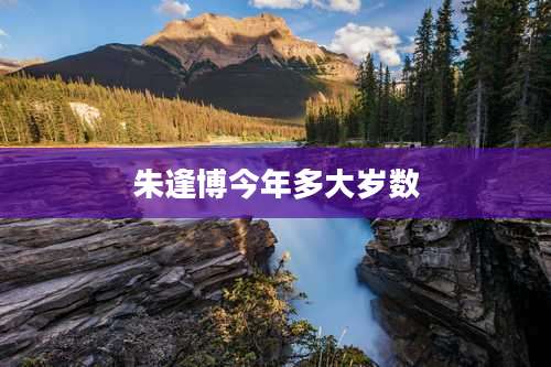 朱逢博今年多大岁数