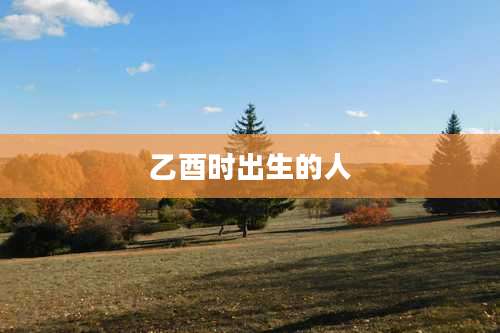 乙酉时出生的人