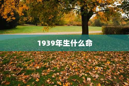 1939年生什么命