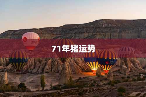 71年猪运势