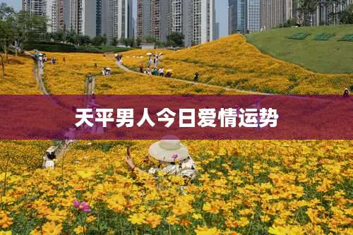 天平男人今日爱情运势