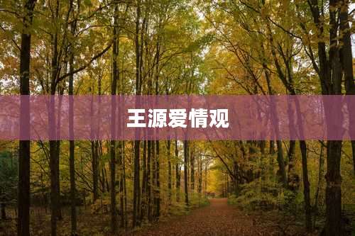 王源爱情观