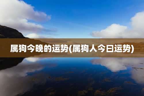 属狗今晚的运势(属狗人今曰运势)