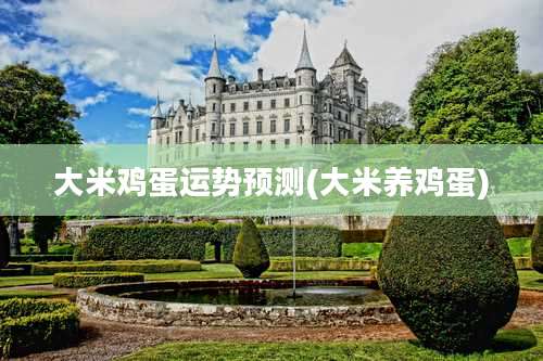 大米鸡蛋运势预测(大米养鸡蛋)