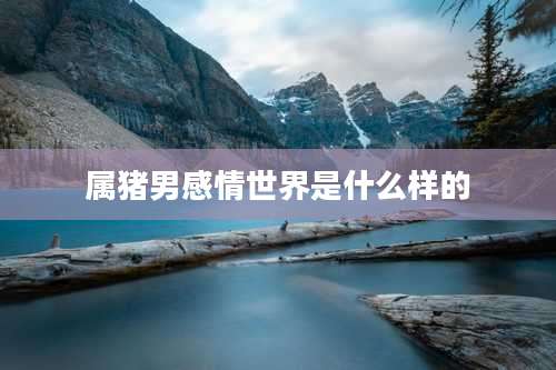 属猪男感情世界是什么样的